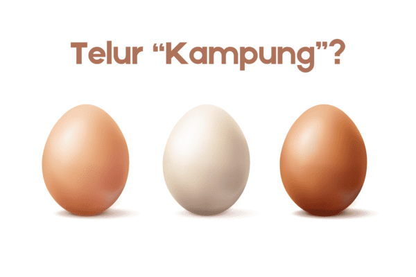 Telur Kampung Truth: Are You Paying More Than You Should?
